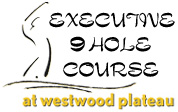 Westwood Plateau - Executive 9